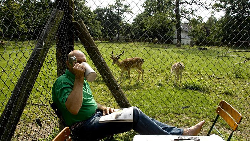 Dieser Herr weiß, wo er sitzt. Genau am Zaun in der Sonne. Dieser Herr weiß, wo er sitzt. Genau am Zaun in der Sonne.