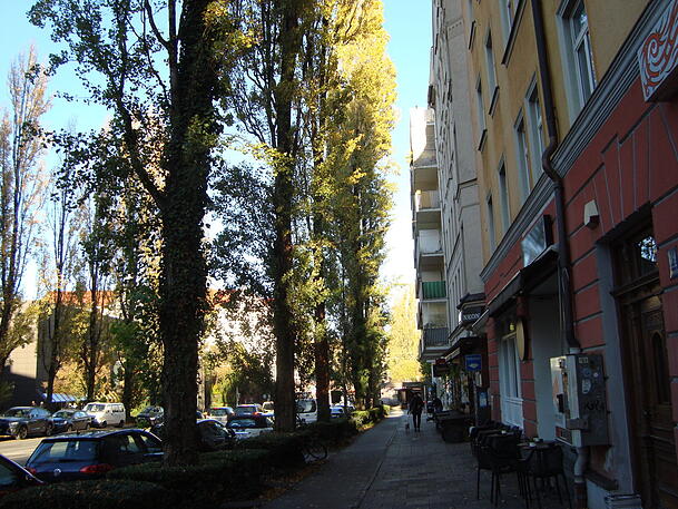 Hier an der Lindwurmstraße, etwa 100 Meter vor der Implerstraße, krachte der Ast auf den Radweg. Hier an der Lindwurmstraße, etwa 100 Meter vor der Implerstraße, krachte der Ast auf den Radweg.
