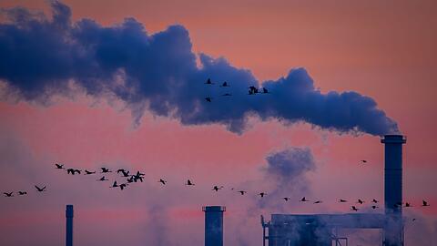 Die deutsche Industrie hat 2025 Umsatz eingeb&uuml;&szlig;t (Archivbild)