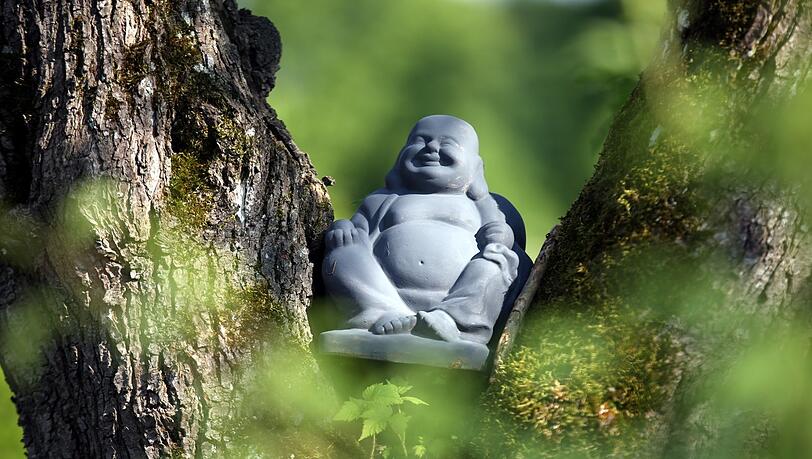Buddha im Zwetschgenbaum - so tiefenentspannt, wie die Figur aussieht, fühlen sich die Gartler, sobald sie ihr grünes Paradieserl betreten.