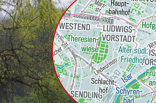 Viel Grün zwischen Grau: Die Bilderstrecke zeigt, wo es in München Parks, Grün- und Erholungsflächen gibt &ndash; und wo Wasser.