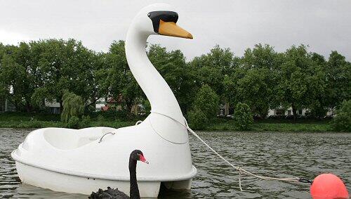 So kannte man das Paar: Trauerschwan Petra und das Tretboot So kannte man das Paar: Trauerschwan Petra und das Tretboot