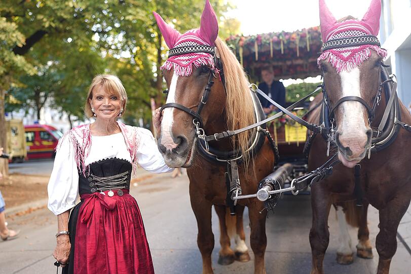 Uschi Glas fährt mit der Kutsche von Kufflers Weinzelt auf die Wiesn. Uschi Glas fährt mit der Kutsche von Kufflers Weinzelt auf die Wiesn.