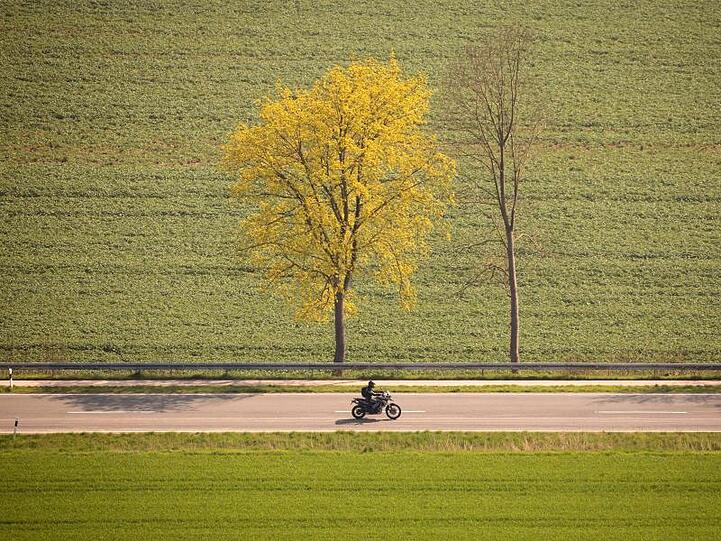 Ein Motorradfahrer fährt auf einer Landstraße an Bäumen vorbei. Foto: Moritz Frankenberg/Archiv