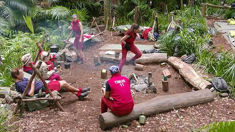 Im Dschungelcamp 2025 geht es wieder heiß her. Wann läuft IBES im TV?