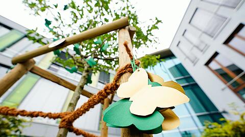 In Gedenken an die durch ihren Ex-Freund getötete Abiturientin hat die Schulgemeinde ein Mandelbäumchen auf ihrem Gelände gepflanzt. (Archivblid)