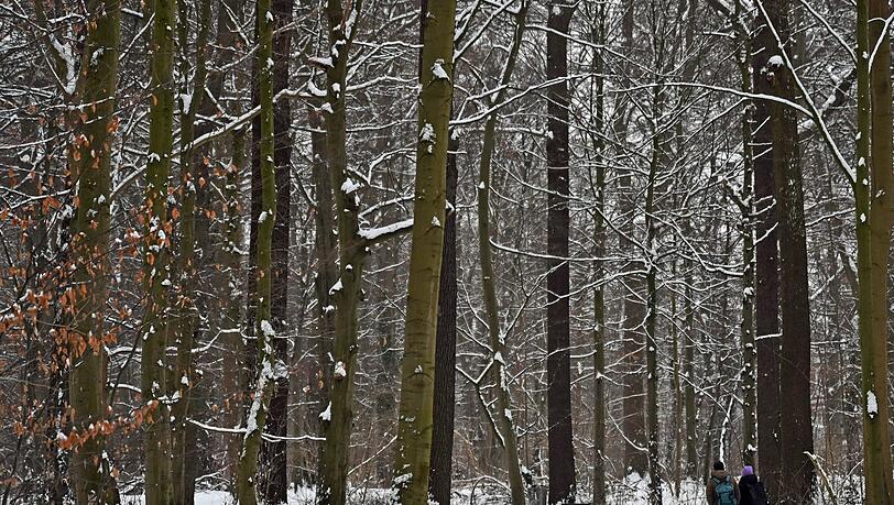 Auch am Donnerstag kann es gebietsweise schneien. Auch am Donnerstag kann es gebietsweise schneien.