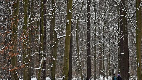 Auch am Donnerstag kann es gebietsweise schneien.