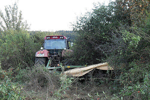 Der Traktor mit dem Mähwerk blieb 100 Meter weiter in einer Windschutzhecke stecken.