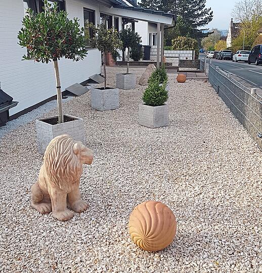 "Der beiden Großkatzen stoische Aufforderung zum gemeinsamen Ballspiel sollten etwaige Passanten besser keine Aufmerksamkeit schenken &ndash; Ballspiele sind im Garten der Schmidts verboten."