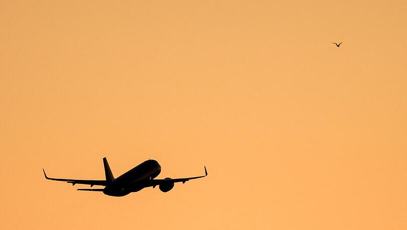 Das Paar soll sich auf dem Flug zwischen Panama und Argentinien kennengelernt haben. (Symbolbild)