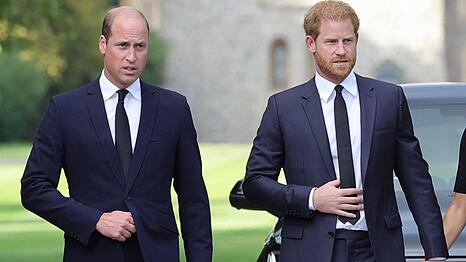 Prinz William (l.) und Prinz Harry sind zerstritten.