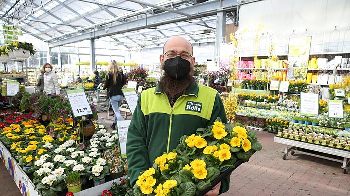 Erdbeeren und Primeln sind die Beet- und Balkonpflanzen der Saison im Pflanzen Kölle in Untermenzing: Max Gebhard zeigt die fröhlich stimmenden knallgelben Primeln.