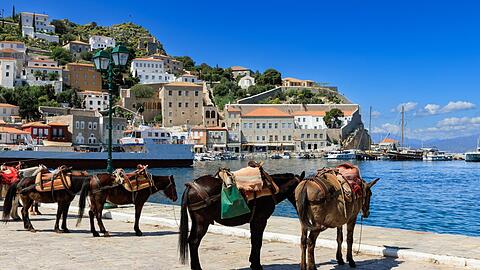 Auf Hydra setzt man teils auf Esel, Maultiere und Boote statt auf Autos.