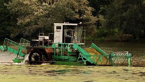 Im vergangenen Jahr weidete die "Mähkuh" die Algen aus dem Wöhrder See ab. Jetzt wurde sie verschrottet. Im vergangenen Jahr weidete die "Mähkuh" die Algen aus dem Wöhrder See ab. Jetzt wurde sie verschrottet.