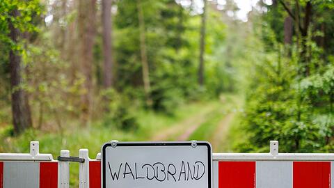 Die Waldbrandgefahr in Bayern ist hoch. (Symbolbild)