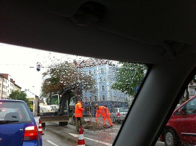 Zwischen den Verkehrshütchen wechseln sie, sichtlich irritiert, wieder von der linken auf die rechte Fahrbahn.