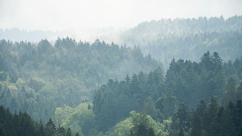 Zur Wochenmitte hat das verregnete Wetter voraussichtlich ein Ende.