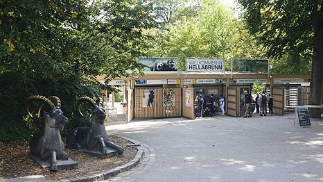 Der Tierpark in Hellabrunn hat neue Aquariums-Mitbewohner. (Archivbild)