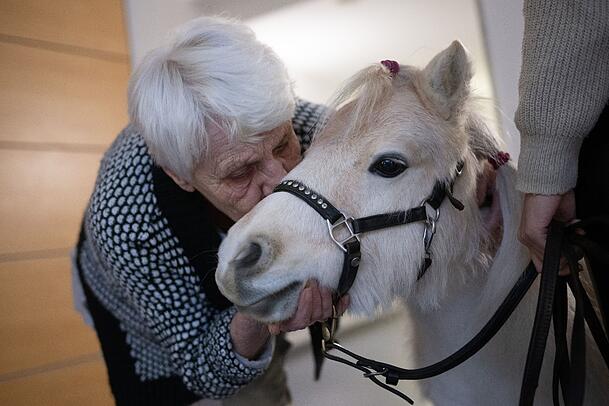 Der Besuch der Ponys im Altenheim bringt Abwechslung für die Bewohnerinnen und Bewohner. Der Besuch der Ponys im Altenheim bringt Abwechslung für die Bewohnerinnen und Bewohner.