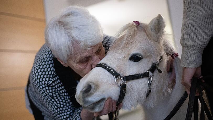 Der Besuch der Ponys im Altenheim bringt Abwechslung für die Bewohnerinnen und Bewohner. Der Besuch der Ponys im Altenheim bringt Abwechslung für die Bewohnerinnen und Bewohner.