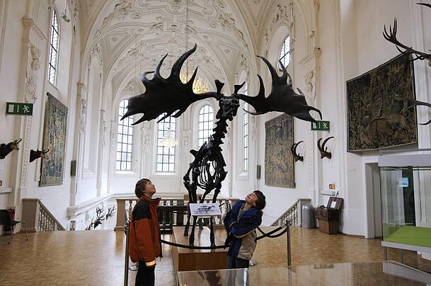 Ex-Kirche mit Riesenhirsch: das Jagd- und Fischereimuseum.
