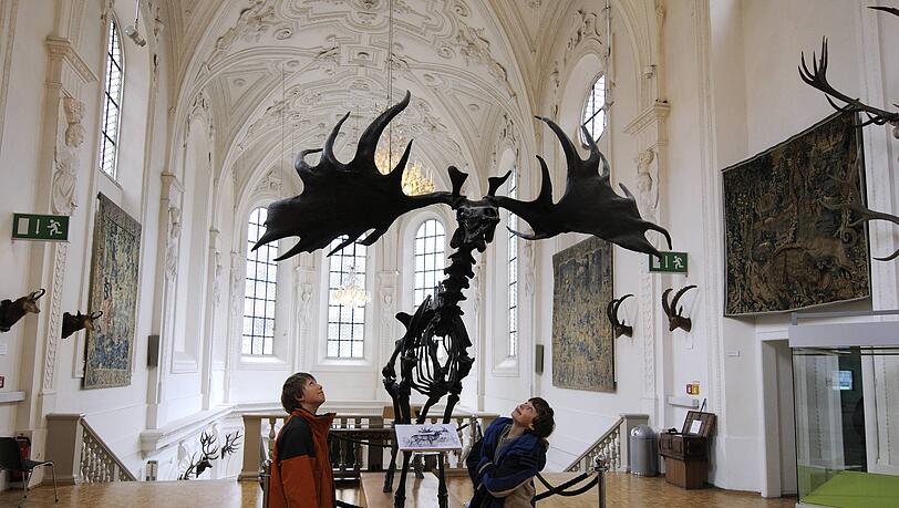 Ex-Kirche mit Riesenhirsch: das Jagd- und Fischereimuseum.