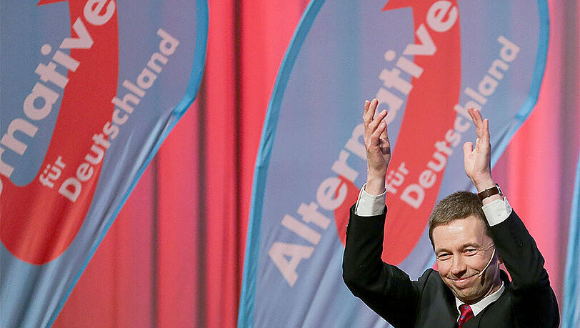 Der Parteichef der AfD, Bernd Lucke, beim Wahlkampfendspurt der Partei in Hamburg. Der Parteichef der AfD, Bernd Lucke, beim Wahlkampfendspurt der Partei in Hamburg.