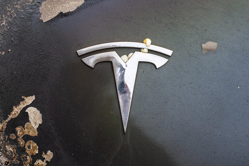 Ein ausgebrannter Tesla in Berlin. Musks Nähe zu Trump - und zur AfD - hat einige gegen ihn aufgebracht. Ein ausgebrannter Tesla in Berlin. Musks Nähe zu Trump - und zur AfD - hat einige gegen ihn aufgebracht.