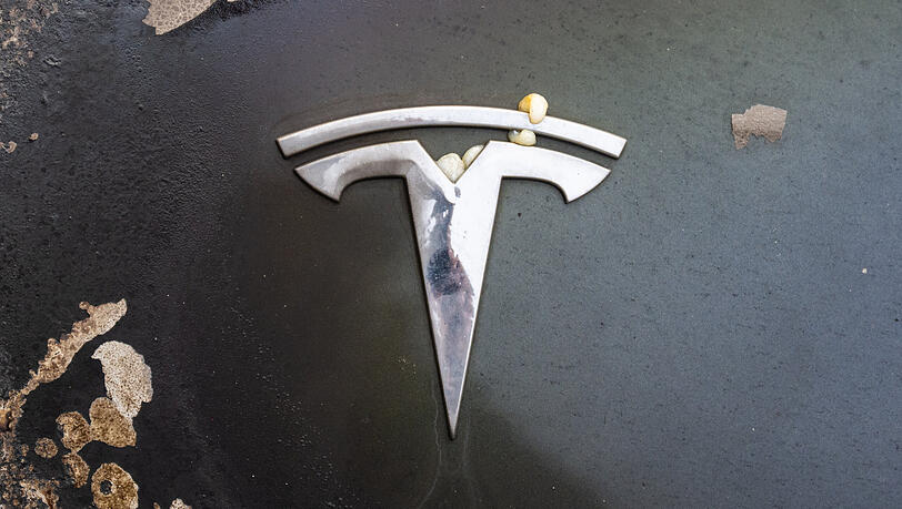 Ein ausgebrannter Tesla in Berlin. Musks Nähe zu Trump - und zur AfD - hat einige gegen ihn aufgebracht.