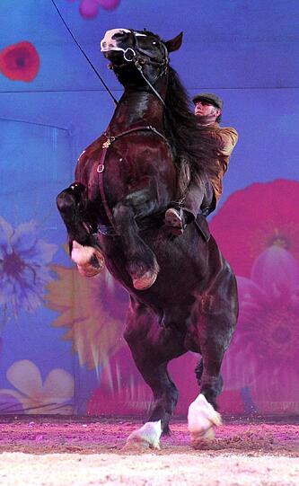 Die Show "Apassionata" verknüpft internationale Reitkunst mit Ballett und Musik.