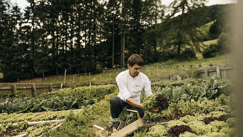 Gem&uuml;se f&uuml;r die K&uuml;che kommt aus dem hauseigenen Garten.