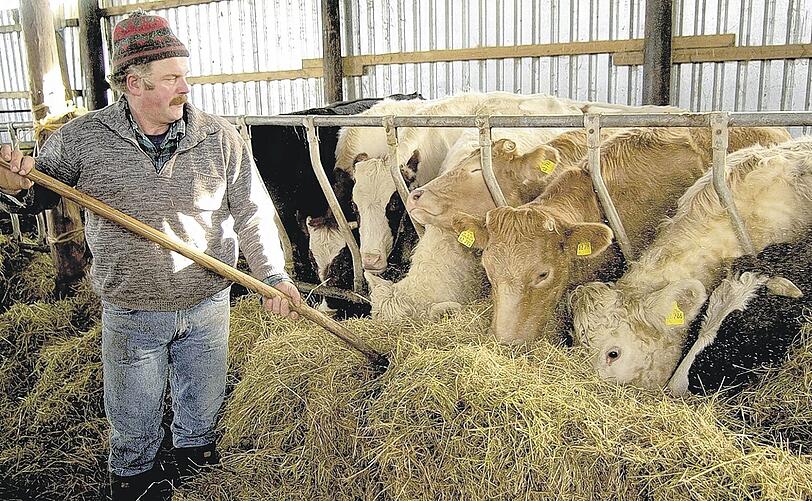 Landwirt im Kuhstall: Weil die Agrarprodukte kein Auskommen sichern, überweist die EU ihnen Ausgleichszahlungen
