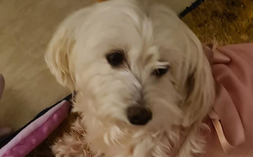 Milly