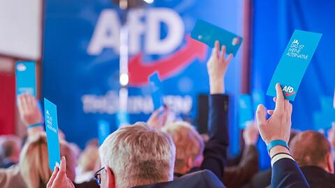 Die AfD hat in jüngsten Umfragen an Zustimmung gewonnen.