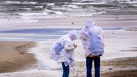 Sturmböen sorgen in Norddeutschland für einzelne Sperrungen und Ausfälle – größere Schäden bleiben aus.