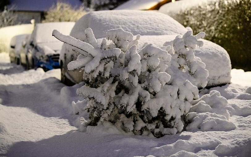 Ebenfalls keine leichte Übung: Bei diesem Wetter einen Christbaum zu entsorgen.