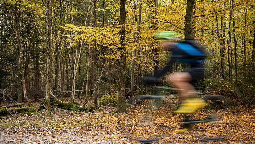 Im Perlacher Forst verunfallen immer h&auml;ufiger Radler auf der beliebten, kilometerlangen Strecke. Nun zofften sich ein Rennradler und ein Mountainbiker, was mit einem schweren Sturz endete.