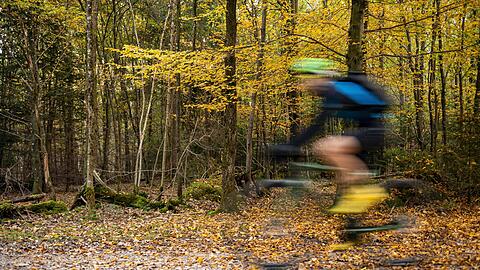 Im Perlacher Forst verunfallen immer h&auml;ufiger Radler auf der beliebten, kilometerlangen Strecke. Nun zofften sich ein Rennradler und ein Mountainbiker, was mit einem schweren Sturz endete.