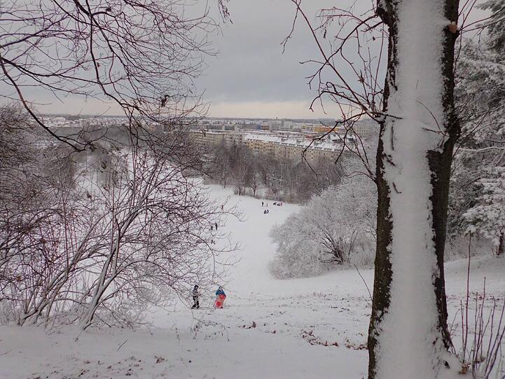 Impressionen aus dem Luitpoldpark.
