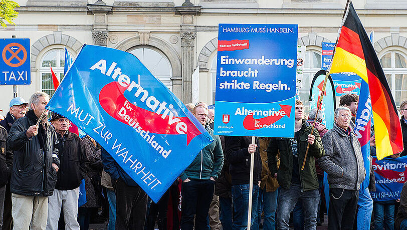 Anhänger der Partei Alternative für Deutschland bei einer Kundgebung in Hamburg. Anhänger der Partei Alternative für Deutschland bei einer Kundgebung in Hamburg.