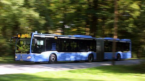 Ein Bus der MVG fährt durch den Englischen Garten. (Symbolbild)