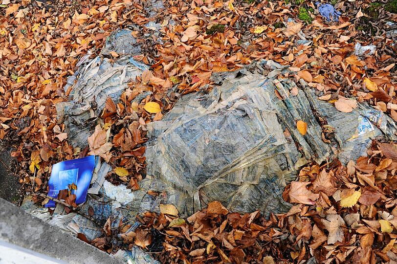 Das Haus in der Herterichstraße soll &bdquo;Neger, Asylanten und Obdachlose&ldquo; beherbergen &ndash; so hat es die verstorbene Eigentümerin in ihrem Testament verfügt. Die Bilder vom Anwesen.