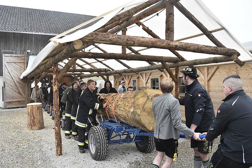 Die Triumph-Parade: Ein Bulldog samt Maibaum, zwei Feuerwehrfahrzeuge und über 30 Beteiligte marschieren am Freitag Abend in Buch ein.