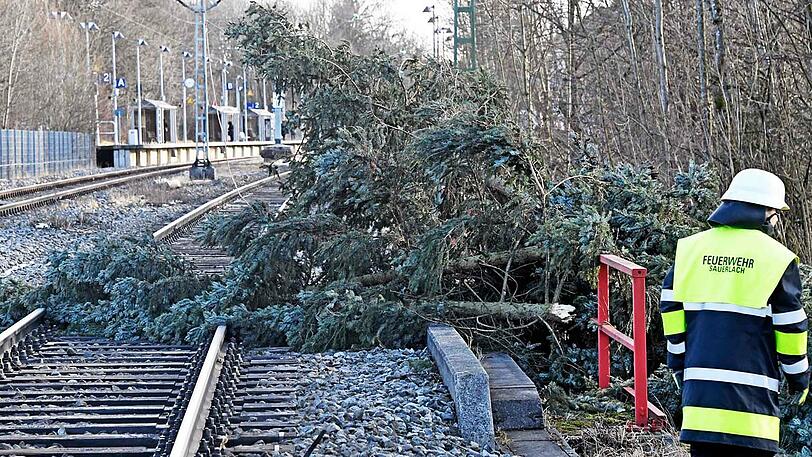 Weil der Baum auf den Gleisen landete, musste der Zugverkehr zwischen München und Holzkirchen eingestellt werden.