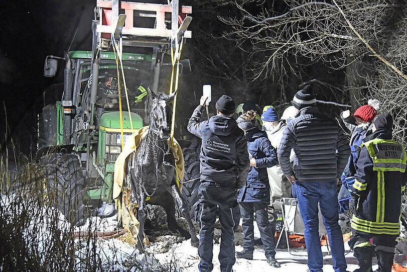 Eine Reiterin war am Montagnachmittag mit der Stute Shakira ausgeritten und dann nahe der Mündung in den Staudhamer See mit dem Tier in das Eis eines zufließenden Baches eingebrochen.