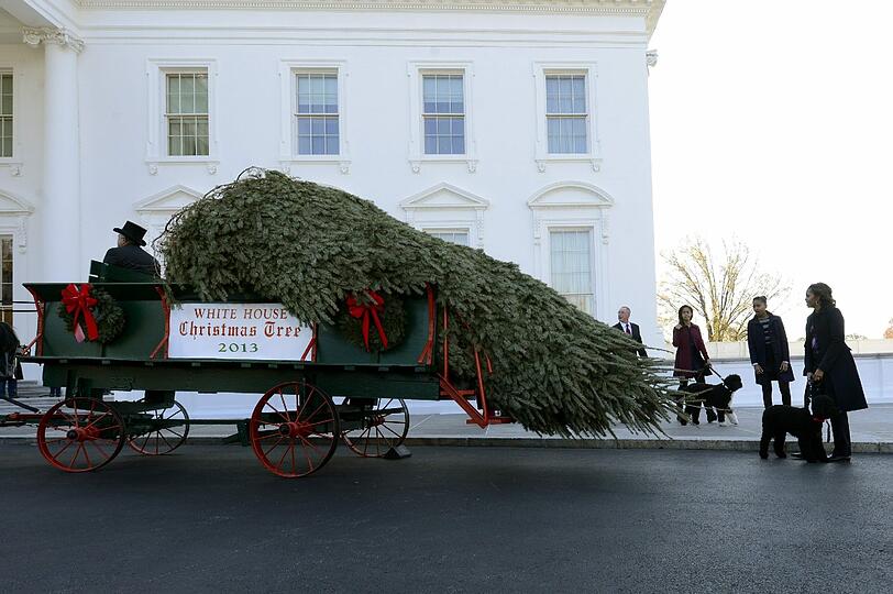 Der Weihnachtsbaum für das Weiße Haus ist da.