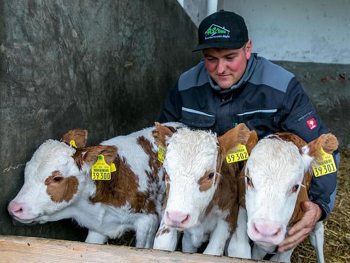 Landwirt Simon Hartmann kümmert sich auf der Alpe Metzeberg um die Kälberdrillinge Dagobert, Diego und Denise. Foto: Ralf Lienert