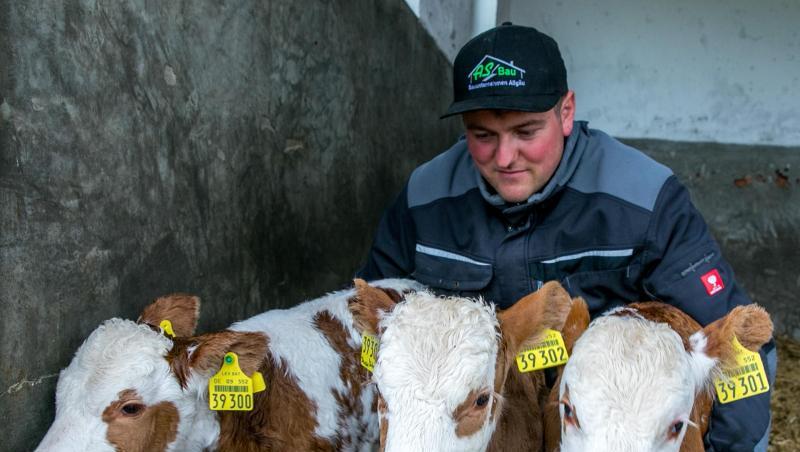 Landwirt Simon Hartmann kümmert sich auf der Alpe Metzeberg um die Kälberdrillinge Dagobert, Diego und Denise. Foto: Ralf Lienert Landwirt Simon Hartmann kümmert sich auf der Alpe Metzeberg um die Kälberdrillinge Dagobert, Diego und Denise. Foto: Ralf Lienert