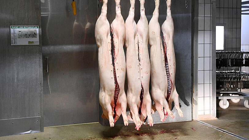 Am Freitag wurden letztmals Schweine im Schlachthof geschlachtet. (Symbolbild)